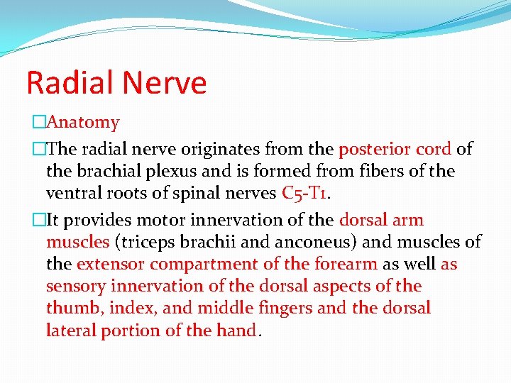 Radial Nerve �Anatomy �The radial nerve originates from the posterior cord of the brachial