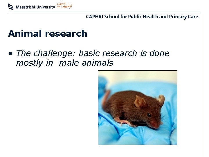 Animal research • The challenge: basic research is done mostly in male animals 