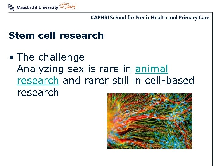 Stem cell research • The challenge Analyzing sex is rare in animal research and