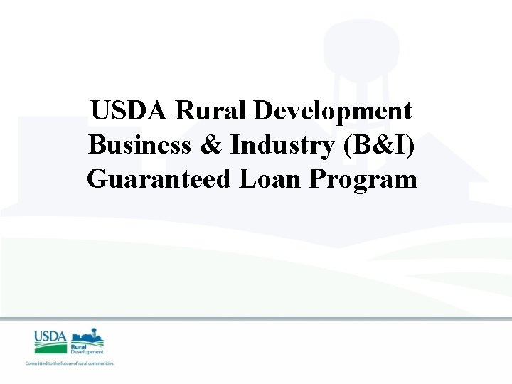 USDA Rural Development Business & Industry (B&I) Guaranteed Loan Program 