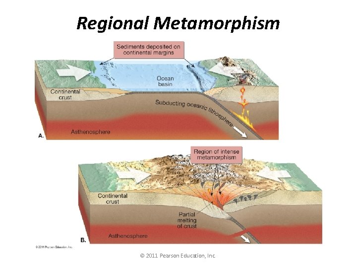 Regional Metamorphism © 2011 Pearson Education, Inc. 