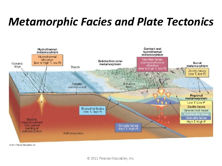 Metamorphic Facies and Plate Tectonics © 2011 Pearson Education, Inc. 