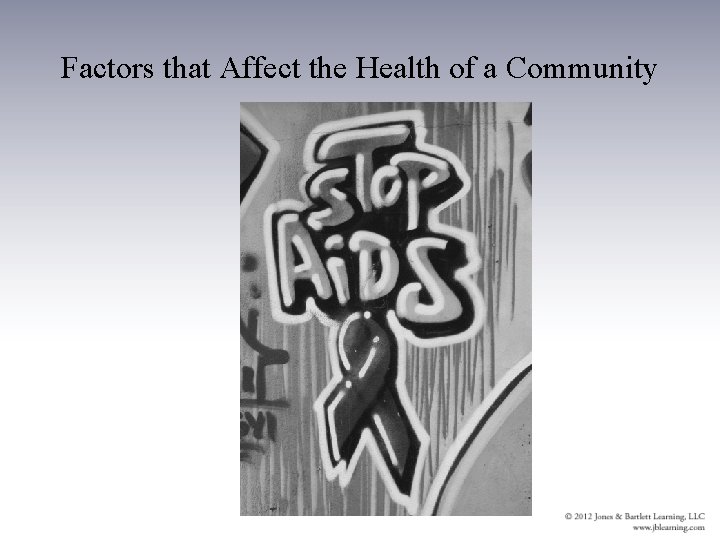 Factors that Affect the Health of a Community 