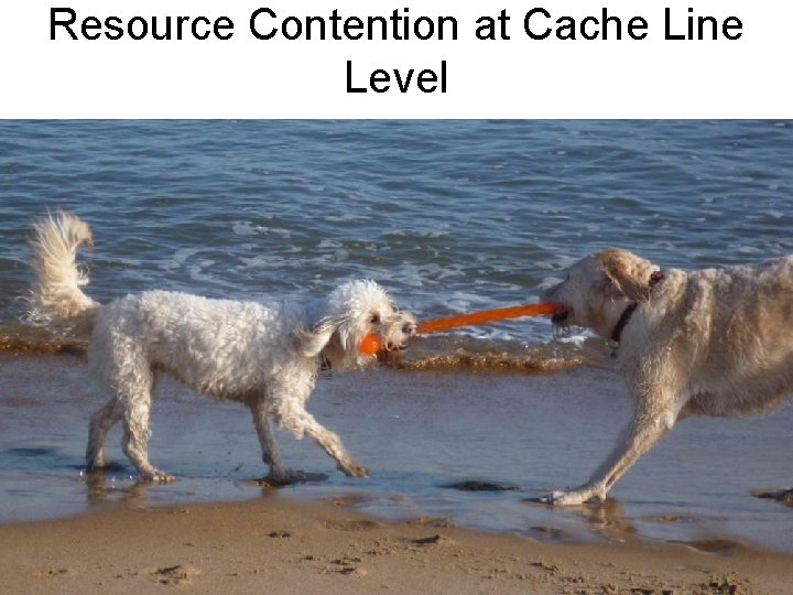 Resource Contention at Cache Line Level 7 Resource Contention at Cache Line Level 7