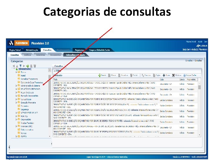 Categorias de consultas 