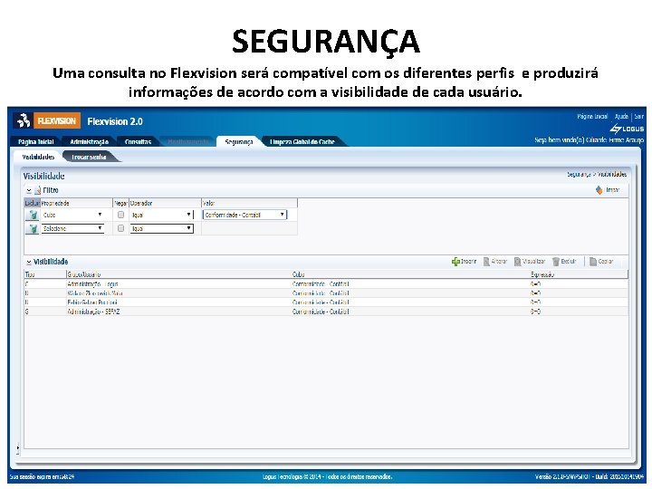 SEGURANÇA Uma consulta no Flexvision será compatível com os diferentes perfis e produzirá informações