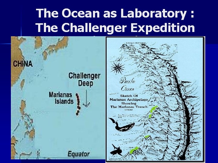 The Ocean as Laboratory : The Challenger Expedition (1872 -1876) The expedition covered 79,