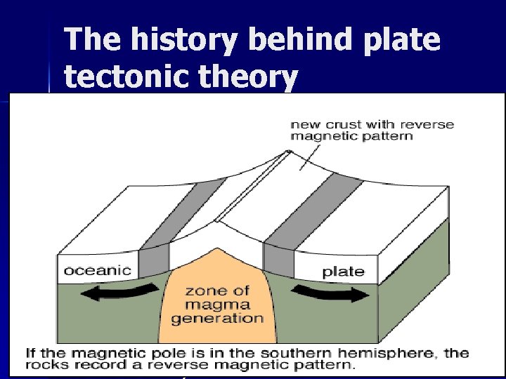 The history behind plate tectonic theory n n In 1915, Alfred Wegener developed theory