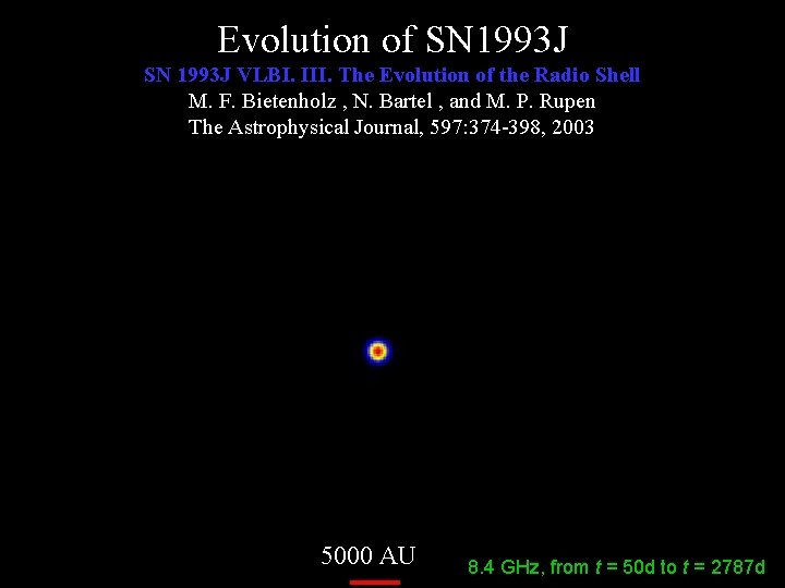 Evolution of SN 1993 J VLBI. III. The Evolution of the Radio Shell M.