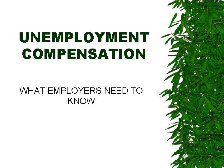 UNEMPLOYMENT COMPENSATION WHAT EMPLOYERS NEED TO KNOW 
