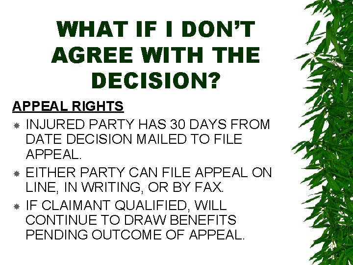 WHAT IF I DON’T AGREE WITH THE DECISION? APPEAL RIGHTS INJURED PARTY HAS 30