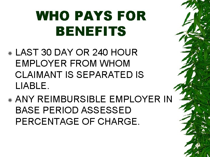 WHO PAYS FOR BENEFITS LAST 30 DAY OR 240 HOUR EMPLOYER FROM WHOM CLAIMANT