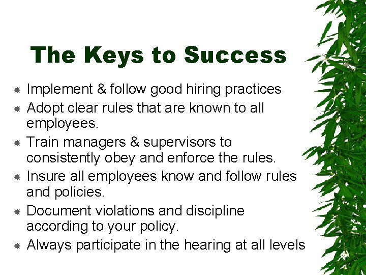 The Keys to Success Implement & follow good hiring practices Adopt clear rules that