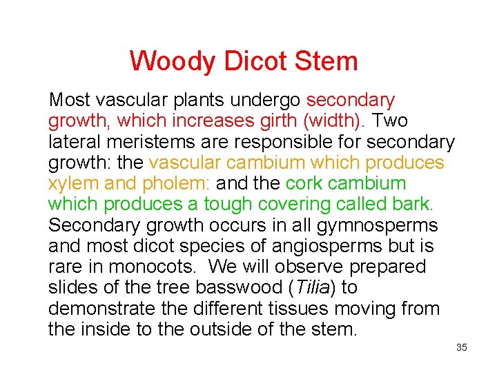 Woody Dicot Stem Most vascular plants undergo secondary growth, which increases girth (width). Two