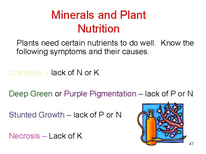 Minerals and Plant Nutrition Plants need certain nutrients to do well. Know the following