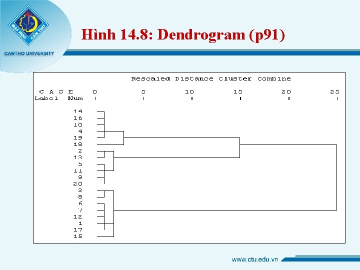 Hình 14. 8: Dendrogram (p 91) 