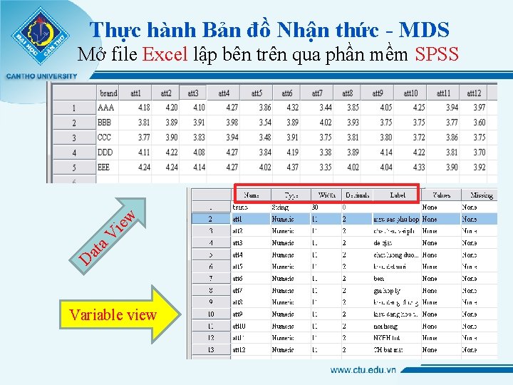 Thực hành Bản đồ Nhận thức - MDS D at a V ie w