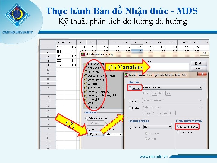 Thực hành Bản đồ Nhận thức - MDS Kỹ thuật phân tích đo lường