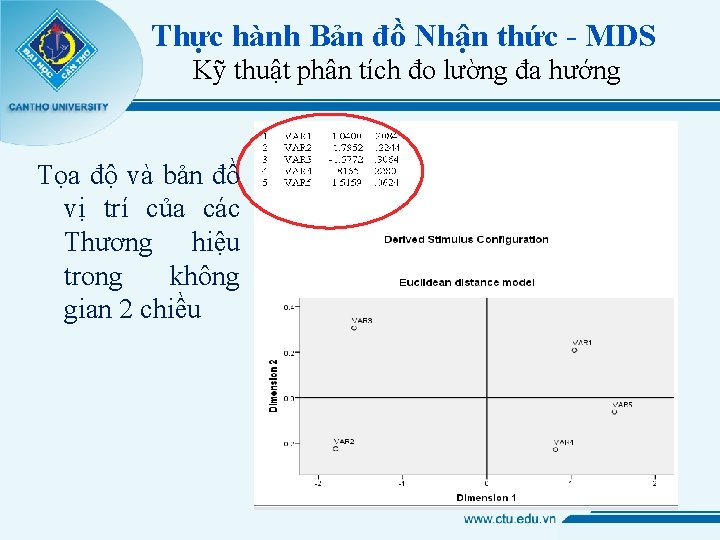 Thực hành Bản đồ Nhận thức - MDS Kỹ thuật phân tích đo lường