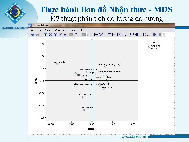 Thực hành Bản đồ Nhận thức - MDS Kỹ thuật phân tích đo lường