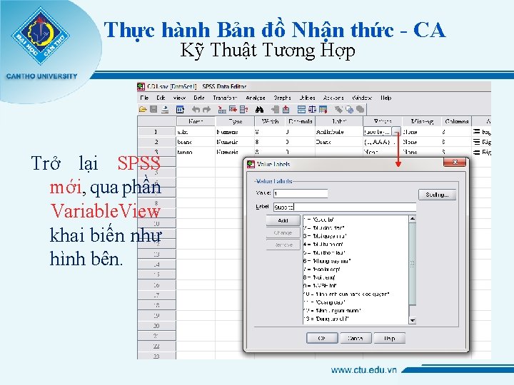 Thực hành Bản đồ Nhận thức - CA Kỹ Thuật Tương Hợp Trở lại