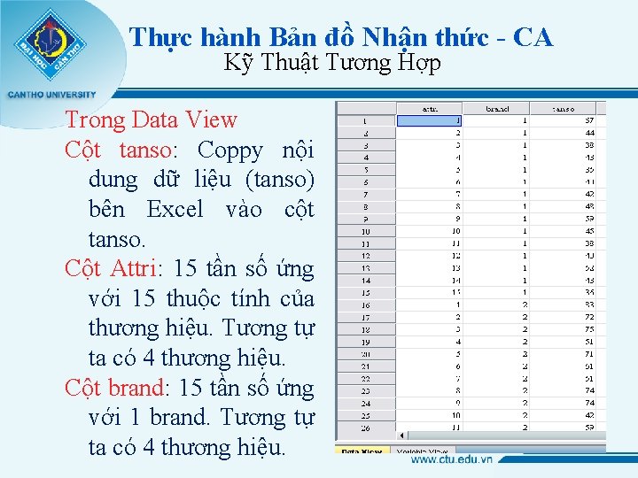 Thực hành Bản đồ Nhận thức - CA Kỹ Thuật Tương Hợp Trong Data