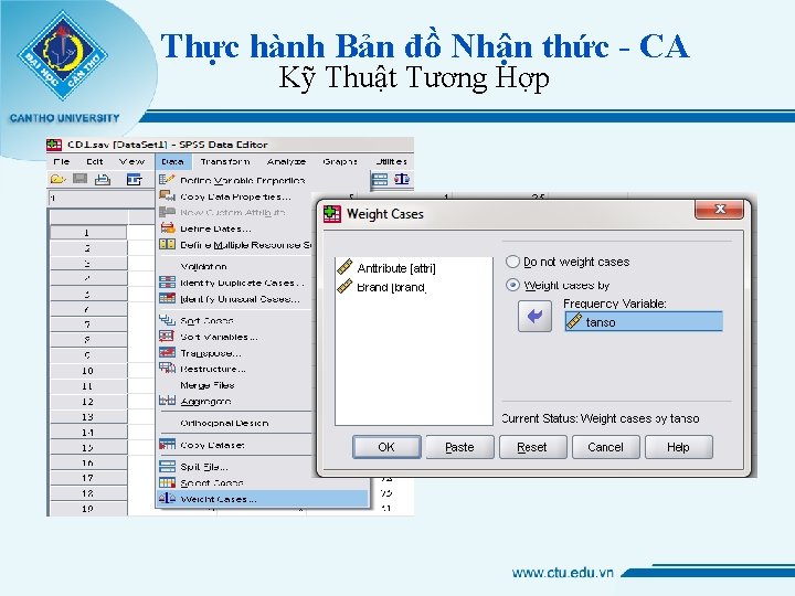 Thực hành Bản đồ Nhận thức - CA Kỹ Thuật Tương Hợp 