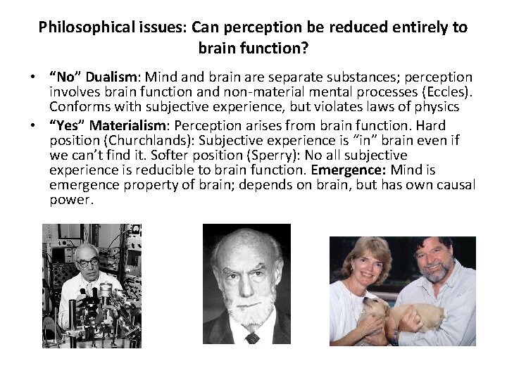 Philosophical issues: Can perception be reduced entirely to brain function? • “No” Dualism: Mind