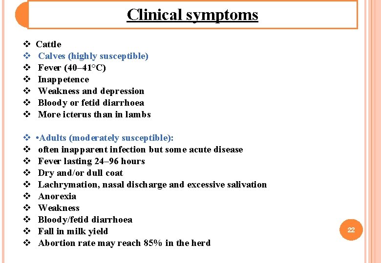 Clinical symptoms v v v v Cattle Calves (highly susceptible) Fever (40– 41°C) Inappetence Clinical symptoms v v v v Cattle Calves (highly susceptible) Fever (40– 41°C) Inappetence