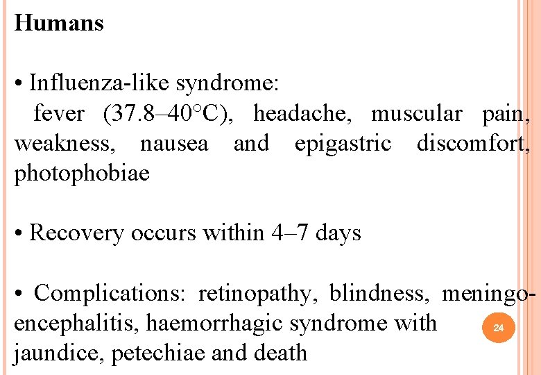 Humans • Influenza-like syndrome: fever (37. 8– 40°C), headache, muscular pain, weakness, nausea and Humans • Influenza-like syndrome: fever (37. 8– 40°C), headache, muscular pain, weakness, nausea and