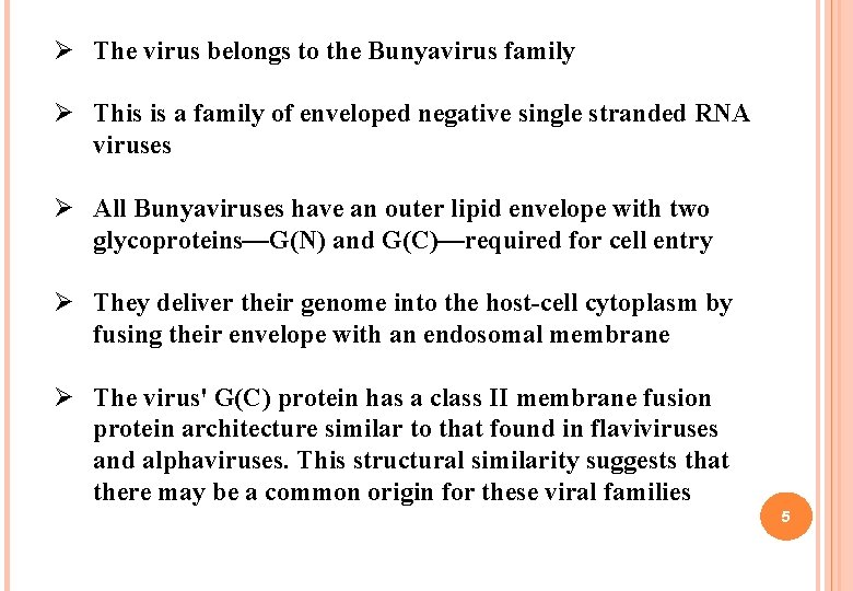 Ø The virus belongs to the Bunyavirus family Ø This is a family of Ø The virus belongs to the Bunyavirus family Ø This is a family of