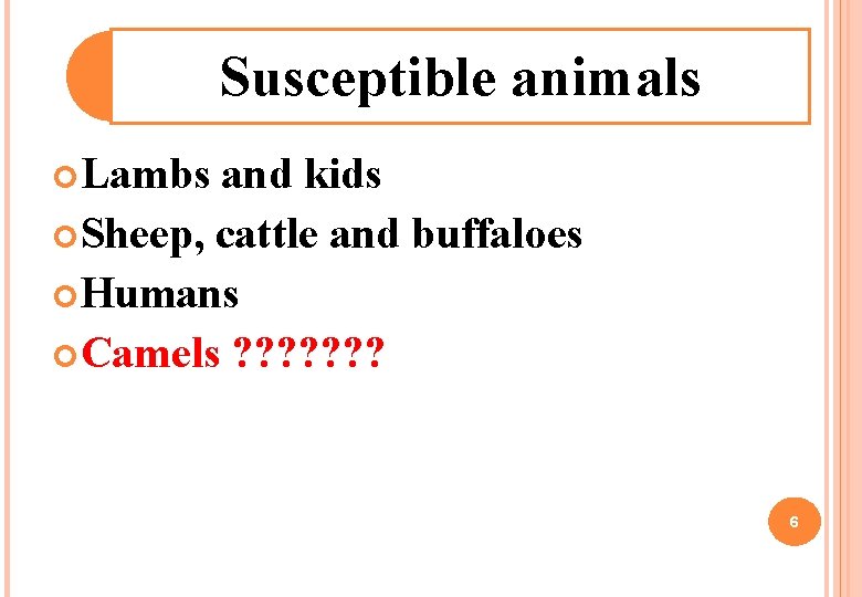 Susceptible animals Lambs and kids Sheep, cattle and buffaloes Humans Camels ? ? ? Susceptible animals Lambs and kids Sheep, cattle and buffaloes Humans Camels ? ? ?