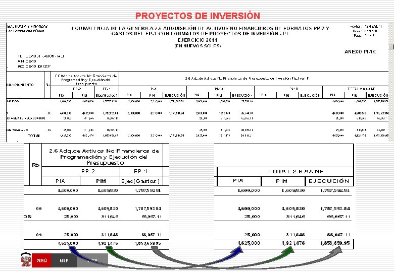 PROYECTOS DE INVERSIÓN PERÚ MEF OGIE 