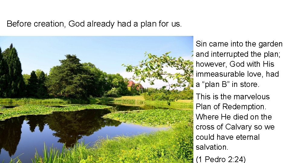 Before creation, God already had a plan for us. Sin came into the garden Before creation, God already had a plan for us. Sin came into the garden