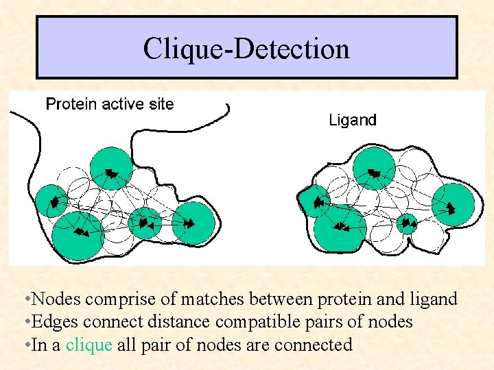 Clique-Detection • • Nodes comprise of matches between protein and ligand • Edges connect