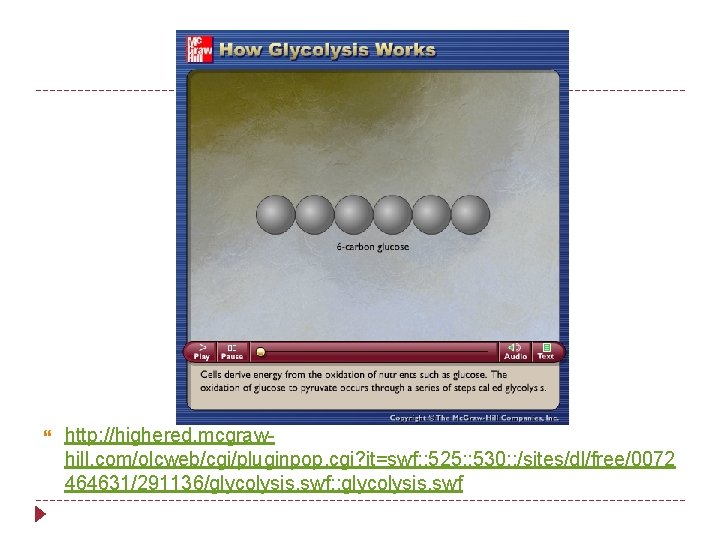  http: //highered. mcgrawhill. com/olcweb/cgi/pluginpop. cgi? it=swf: : 525: : 530: : /sites/dl/free/0072 464631/291136/glycolysis.