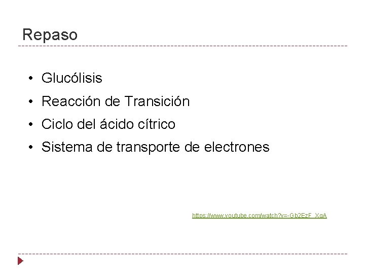 Repaso • Glucólisis • Reacción de Transición • Ciclo del ácido cítrico • Sistema