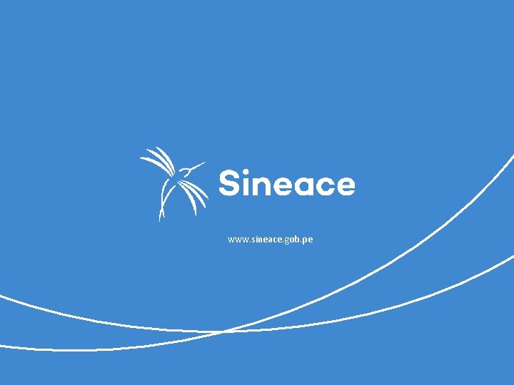  www. sineace. gob. pe 