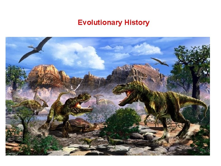 Evolutionary History 