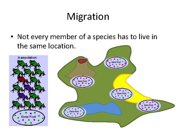 Migration • Not every member of a species has to live in the same