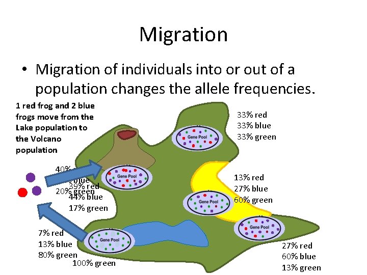 Migration • Migration of individuals into or out of a population changes the allele