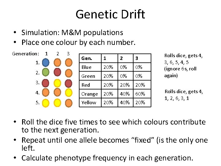 Genetic Drift • Simulation: M&M populations • Place one colour by each number. Generation: