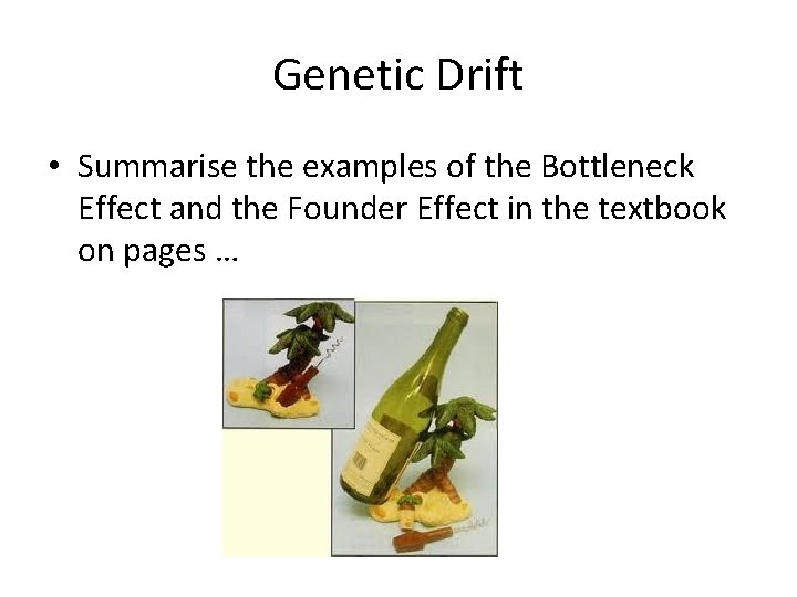 Genetic Drift • Summarise the examples of the Bottleneck Effect and the Founder Effect