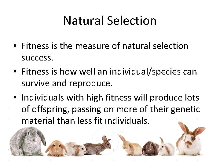 Natural Selection • Fitness is the measure of natural selection success. • Fitness is