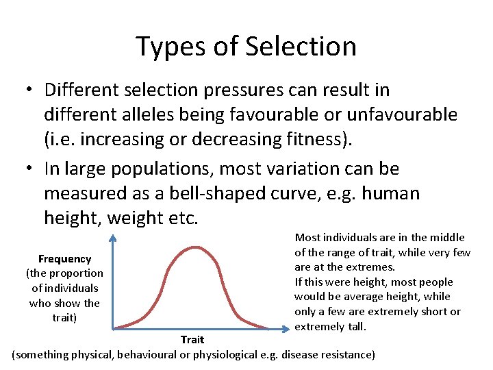 Types of Selection • Different selection pressures can result in different alleles being favourable