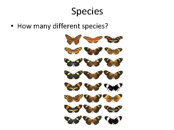 Species • How many different species? 