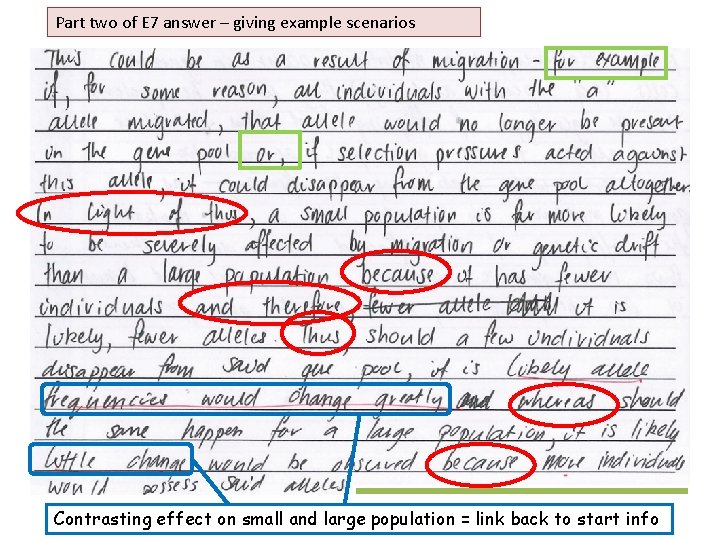 Part two of E 7 answer – giving example scenarios Contrasting effect on small