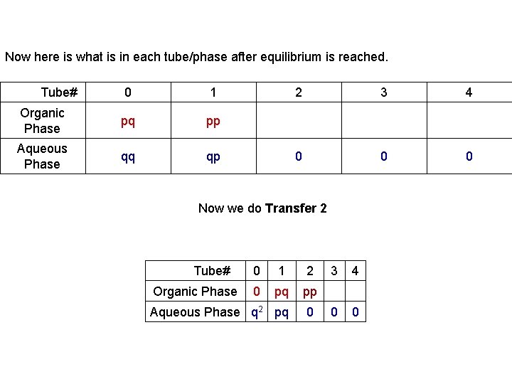 Now here is what is in each tube/phase after equilibrium is reached. Tube# 0