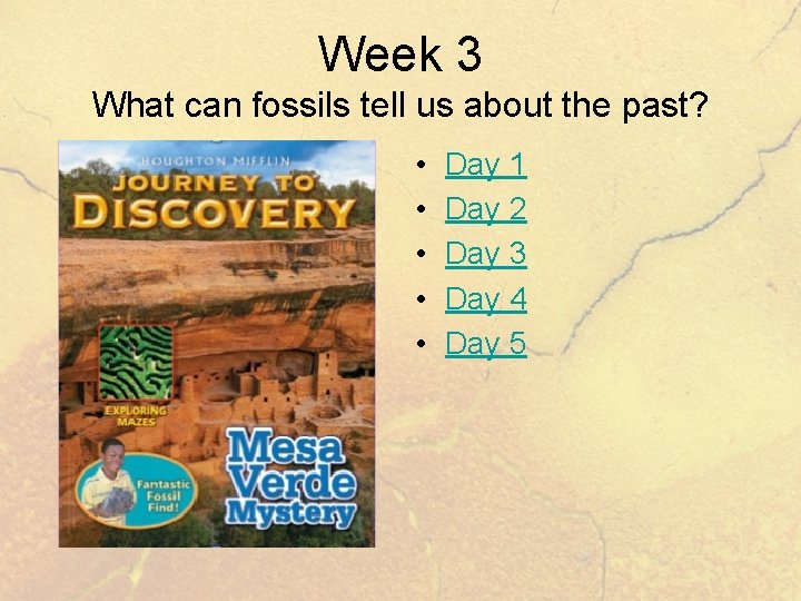 Week 3 What can fossils tell us about the past? • • • Day