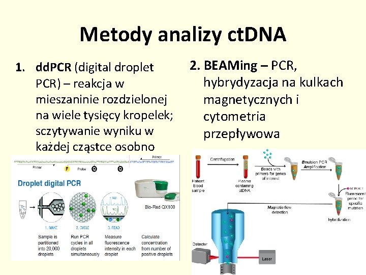 Metody analizy ct. DNA 1. dd. PCR (digital droplet PCR) – reakcja w mieszaninie